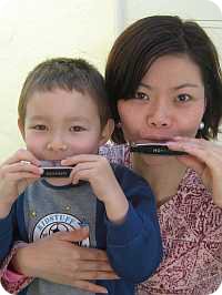 Harmonica Family
